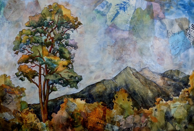 Where The Trees Hug The Mountains