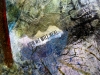 Detail for Regeneration