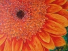 Linda Moskalyk - \'Bee\'s Eye View\'