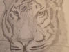 Student Art, Graphite