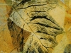 Linda Moskalyk - Detail for Going Topless