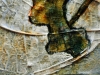 Linda Moskalyk - Detail for Timeless Confidence