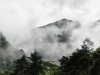 Linda Moskalyk - My Studio located in the Cloud Forests of Costa Rica