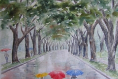 Past Work