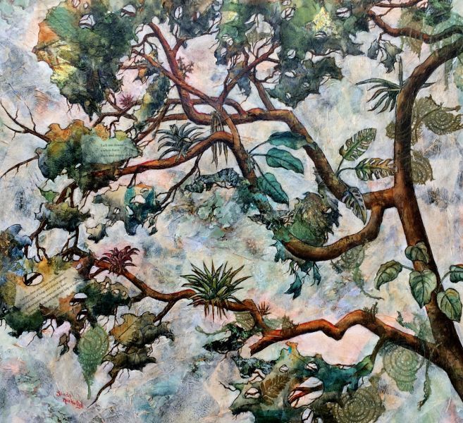 Cloud-Forest-Diversity
