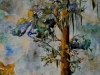 Linda Moskalyk, Aging Gracefully