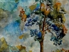 Linda Moskalyk, Serenity of Solitude