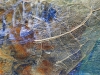 Linda Moskalyk- Detail for 'Side by Side'
