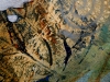 Linda Moskalyk-detail for 'Wild Elegance'